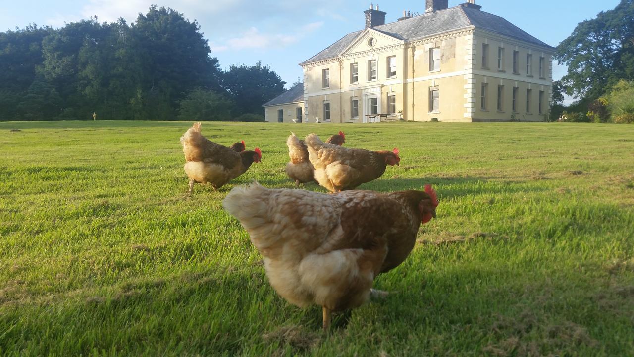 Lifton Kelly House Country B&B מראה חיצוני תמונה